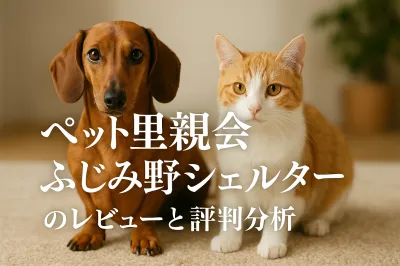 ペット里親会ふじみ野シェルターのレビューと評判分析