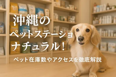 沖縄のペットステーションナチュラル！ペット在庫数やアクセスを徹底解説