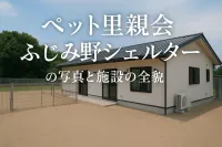 ペット里親会ふじみ野シェルターの写真と施設の全貌
