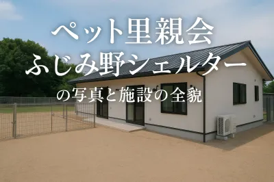 ペット里親会ふじみ野シェルターの写真と施設の全貌