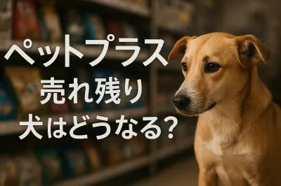 ペット プラス 売れ残り 犬はどうなる？