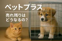 ペット プラス 売れ残りはどうなるの？