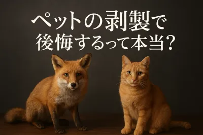 ペットの剥製で後悔するって本当？