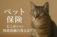 ペット 保険 どこがいい 知恵袋 猫の答えは？