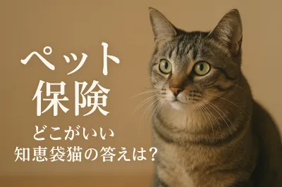 ペット 保険 どこがいい 知恵袋 猫の答えは？