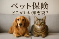 ペット 保険 どこがいい 知恵袋？