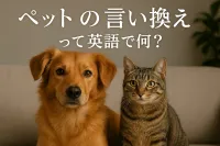 ペットの言い換えって英語で何？