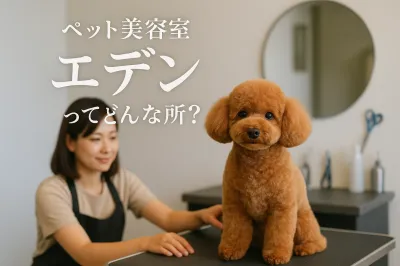 ペット 美容 室 エデンってどんな所？
