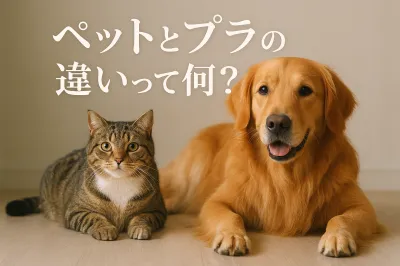 ペットとプラの違いって何？