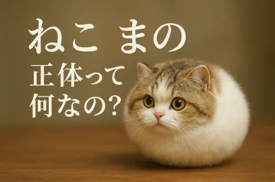 ねこたまの正体って何なの？