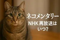 ネコメンタリーのnhk再放送はいつ？
