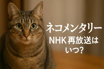 ネコメンタリーのnhk再放送はいつ？