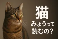 猫 みょうって読むの？