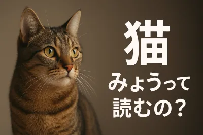 猫 みょうって読むの？