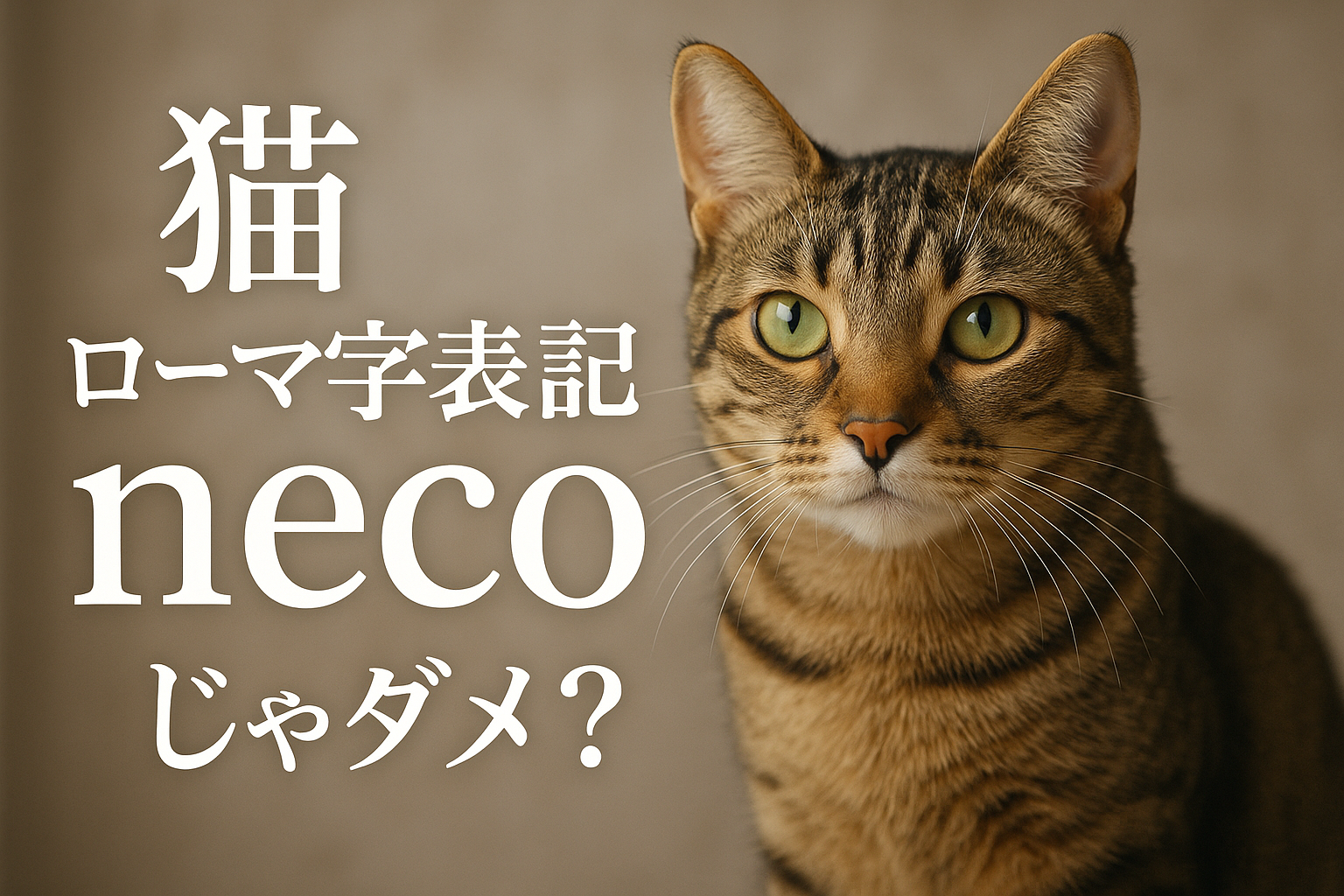 猫 ローマ字表記はnecoじゃダメ？