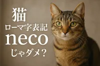 猫 ローマ字表記はnecoじゃダメ？