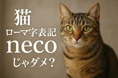猫 ローマ字表記はnecoじゃダメ？