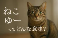 ねこみ ゅ ー んってどんな意味？
