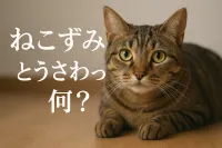 ねこずみとうささわって何？