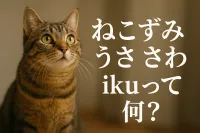 ねこ ずみ うさ さわ ikuって何？