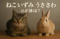 「ねこ いずみ うさ さわ」の正体は？