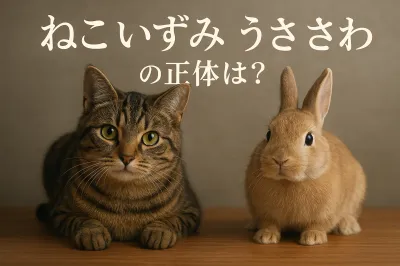 「ねこ いずみ うさ さわ」の正体は？