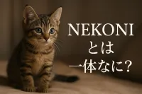 nekoniとは一体なに？