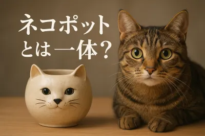 ネコポットとは一体？