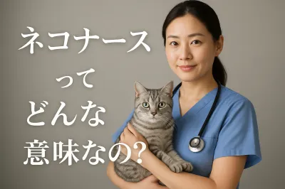 ネコナースってどんな意味なの？