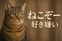 ねこ ぞ ー 好き嫌いの理由は？