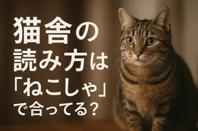 猫舎の読み方は「ねこしゃ」で合ってる？