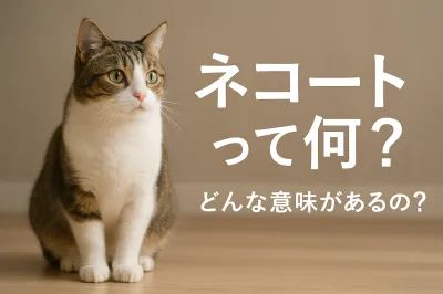 ネコートって何？どんな意味があるの？