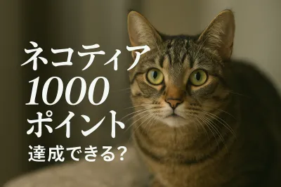 ネコティア 1000 ポイント達成できる？