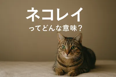 ネコレイってどんな意味？