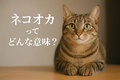 ネコオカってどんな意味？