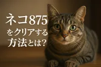 ネコ 875をクリアする方法とは？