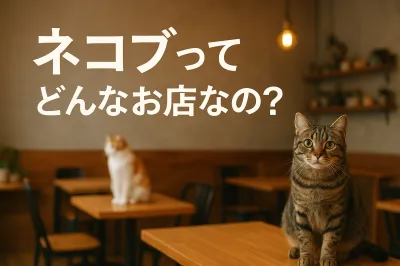 ネコブってどんなお店なの？