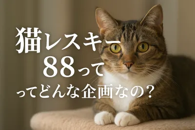 猫 レスキュー 88ってどんな企画なの？