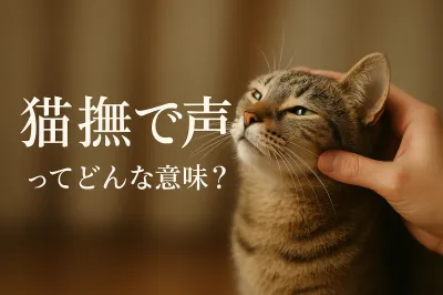 猫撫で声ってどんな意味？