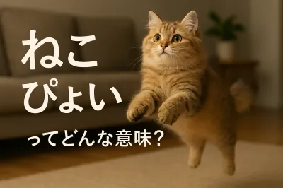 ねこ ぴょいってどんな意味？