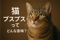猫 プスプスってどんな意味？