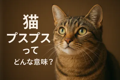 猫 プスプスってどんな意味？