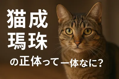 猫 成 珠の正体って一体なに？