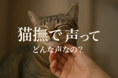 猫撫で声ってどんな声なの？