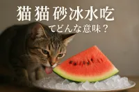 猫 猫 碎 冰冰 吃 瓜ってどんな意味？
