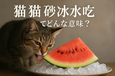 猫 猫 碎 冰冰 吃 瓜ってどんな意味？