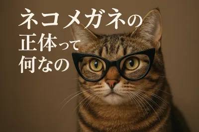 ネコメガネの正体って何なの？