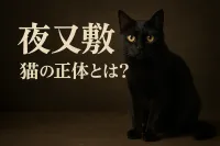 夜叉 敷 猫の正体とは？