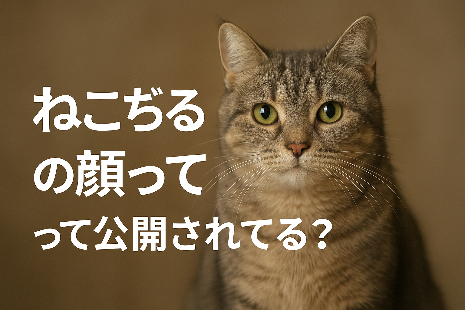 ねこぢるの顔って公開されてる?