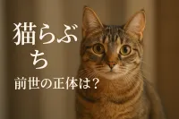 猫 らぶ ち 前世の正体は？